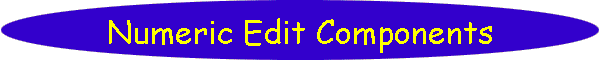 Numeric Edit Components